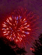 3rd Jul 2025 - Red, White and Blue 