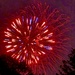 Red, White and Blue 
