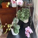 Exquisite orchid shape 
