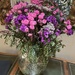 Bright colours 
