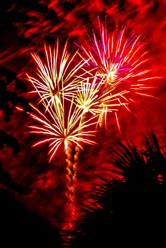 Celebrating #249 by danette