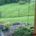 0705bunnies