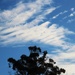 Today's Unusual Clouds ~