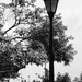 Lamppost 