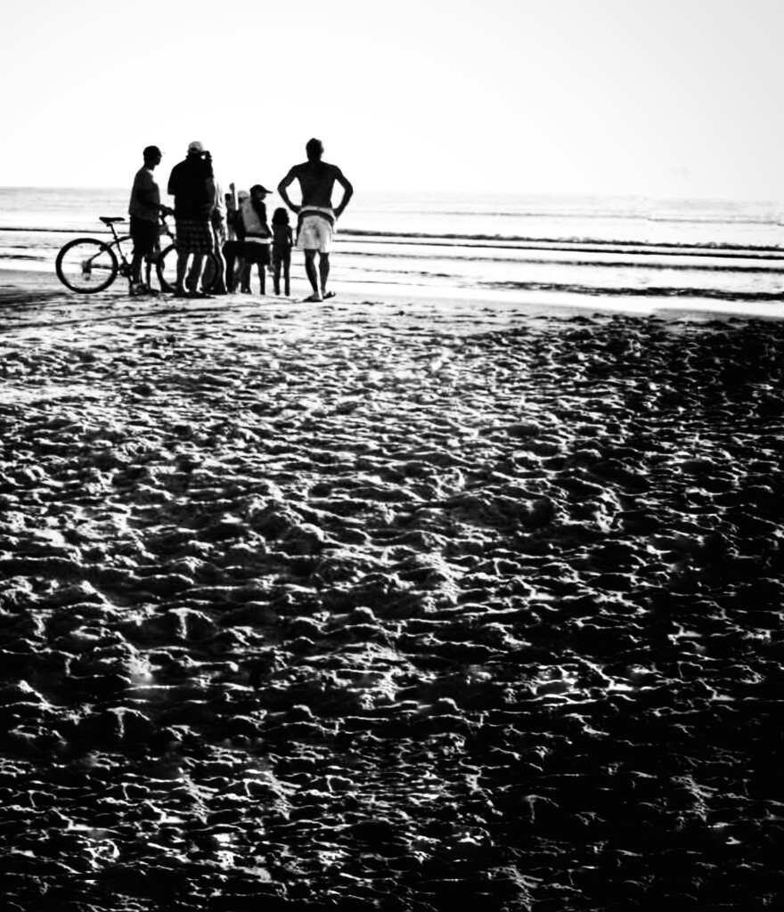 Family members  by joemuli