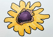 6th Jul 2025 - July 6