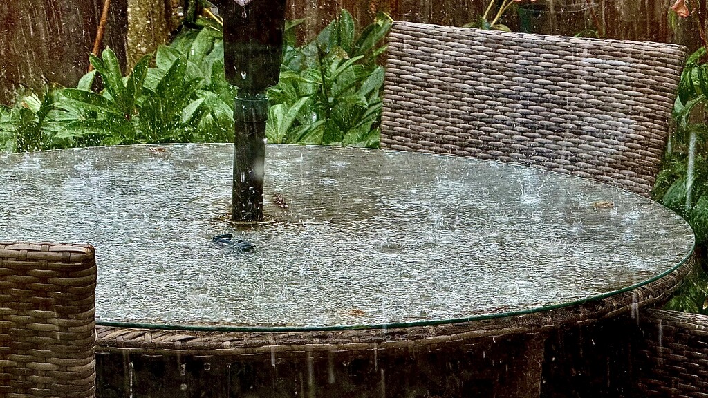 Bouncing Rain by carole_sandford