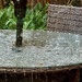 Bouncing Rain