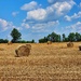 July in Ontario