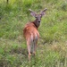 You looking at me looking at you. by dkellogg