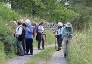 7th Jul 2025 - Monday Walkers