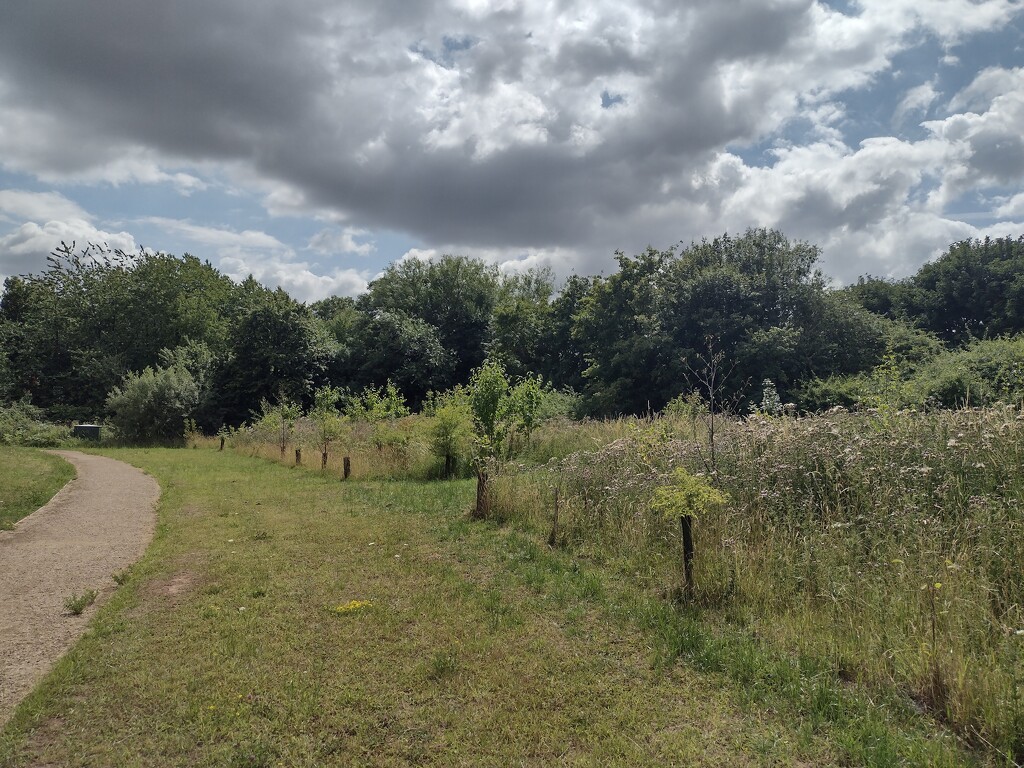 Taken in the car park of our local leisure centre  by aimeebarr