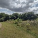 Taken in the car park of our local leisure centre 