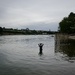 Swimming in Rhine 
