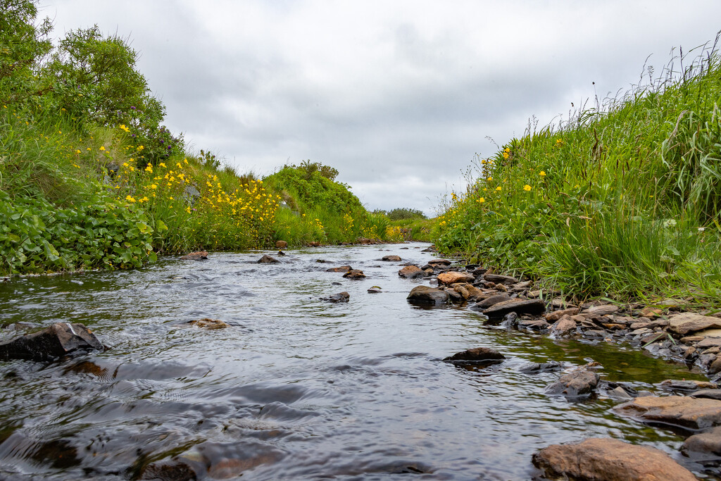 Water Level by lifeat60degrees