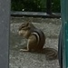 My Peanut! Back Off!