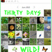 30 Days Wild Calendar