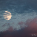 July Moon by nigelrogers