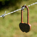 Lovelock