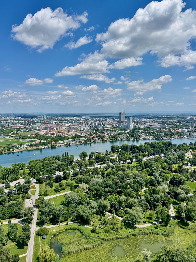 Vienna’s view.  by cocobella