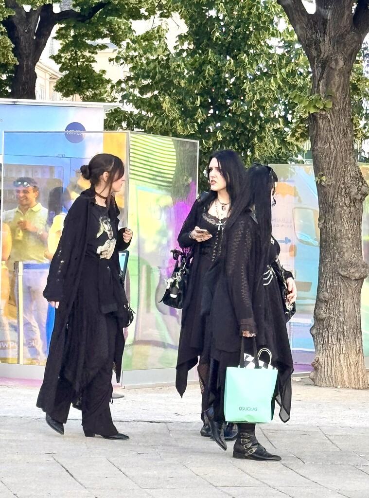 Ladies in black.  by cocobella