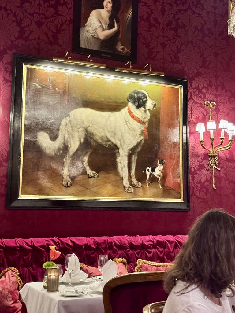 Dogs.  by cocobella
