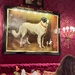 Dogs. 