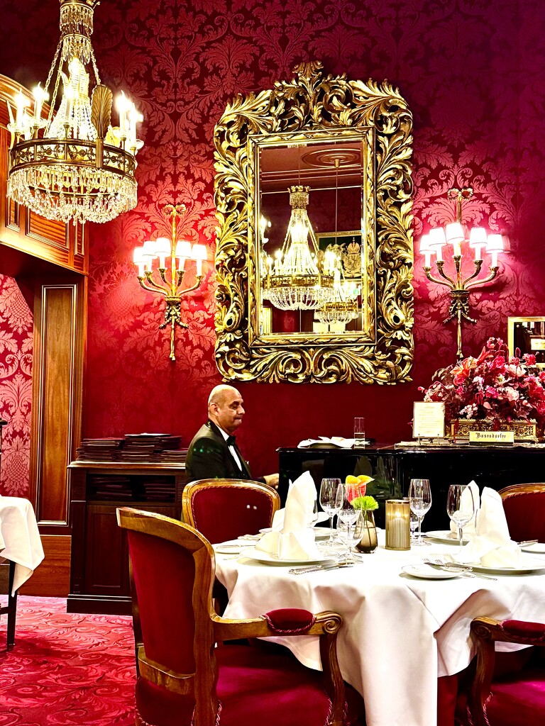 The pianist.  by cocobella