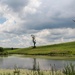 By the pond by mittens