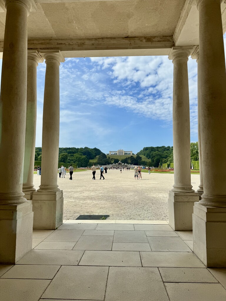 Schönbrunn garden.  by cocobella