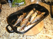 6th Feb 2011 - sizzling sardines for supper !