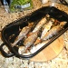 sizzling sardines for supper ! by happypat