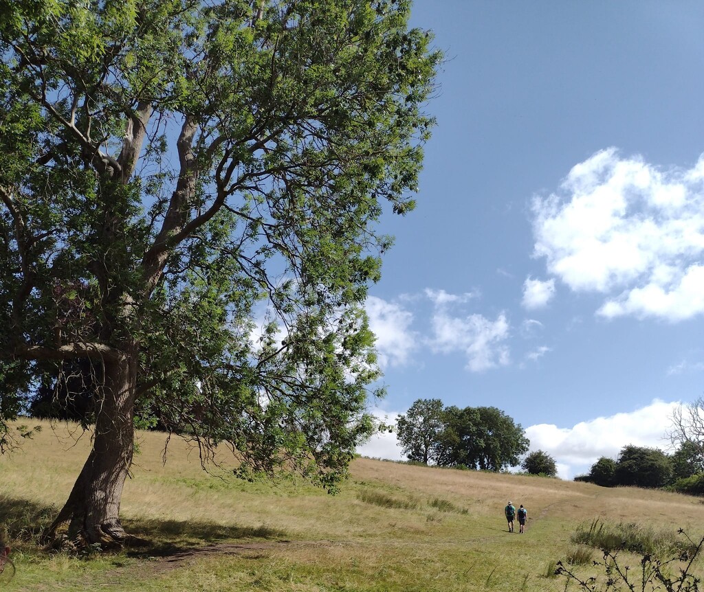 Group Walk Ticknall by aimeebarr