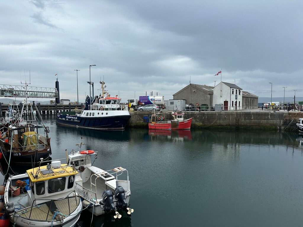 Stromness Harbour by 365projectmaxine