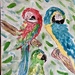 Sleepy macaws