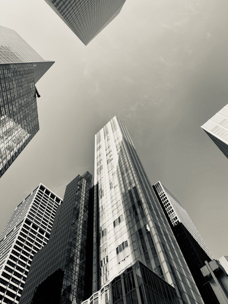 Into the sky  by sunnysveta