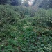 IMG_20250708_193326