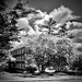 The Building Within by rickaubin