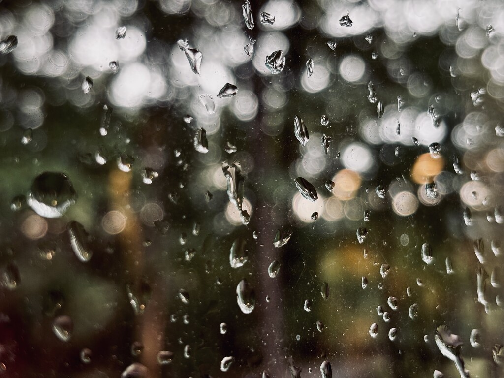 It’s a horrible nasty rainy day  by mamaholl