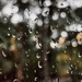 It’s a horrible nasty rainy day 