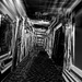 falling down the rabbit hole