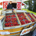 Fresh Strawberries
