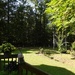 Midmorning view from the back deck...
