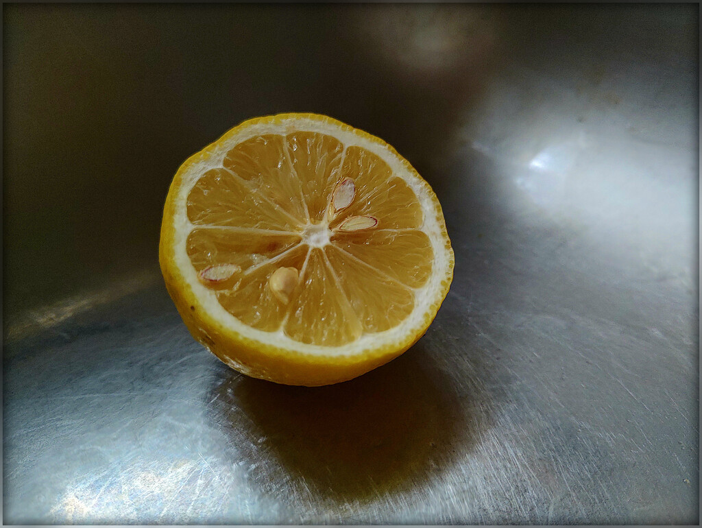 Juicy by olivetreeann