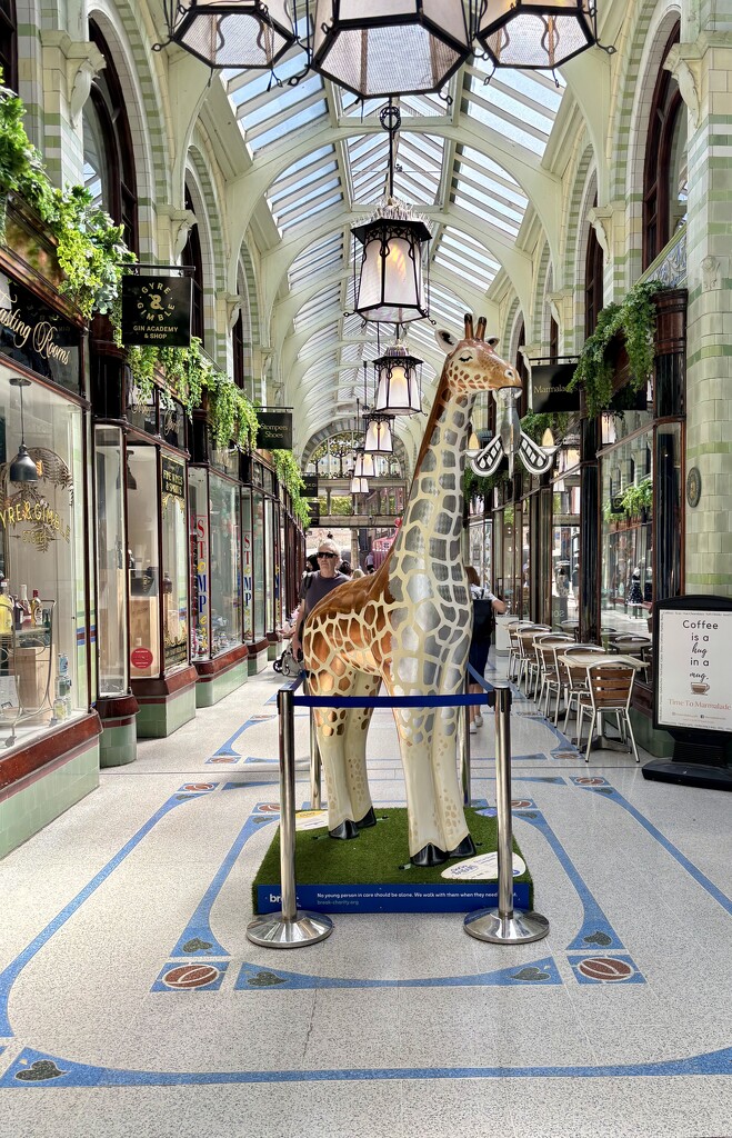 Giraffe In The Arcade by gillian1912