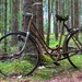 Forgotten bicycle