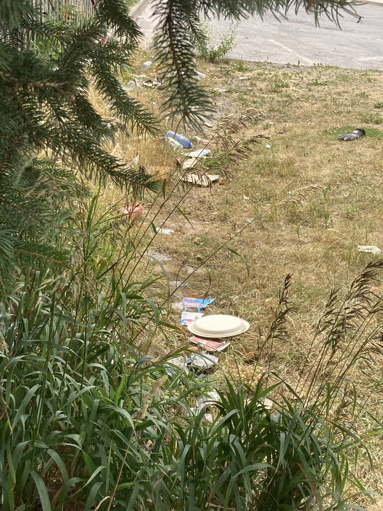 Trail of Litter by spanishliz