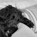 Not quite asleep 