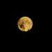 literally (23.03hrs) just looked up