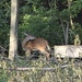 Spotted!